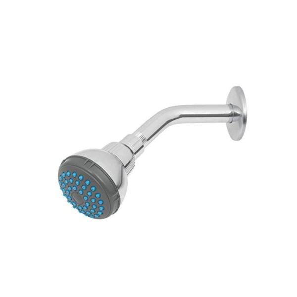 CEBOLLETA REDONDA 2 1/2″